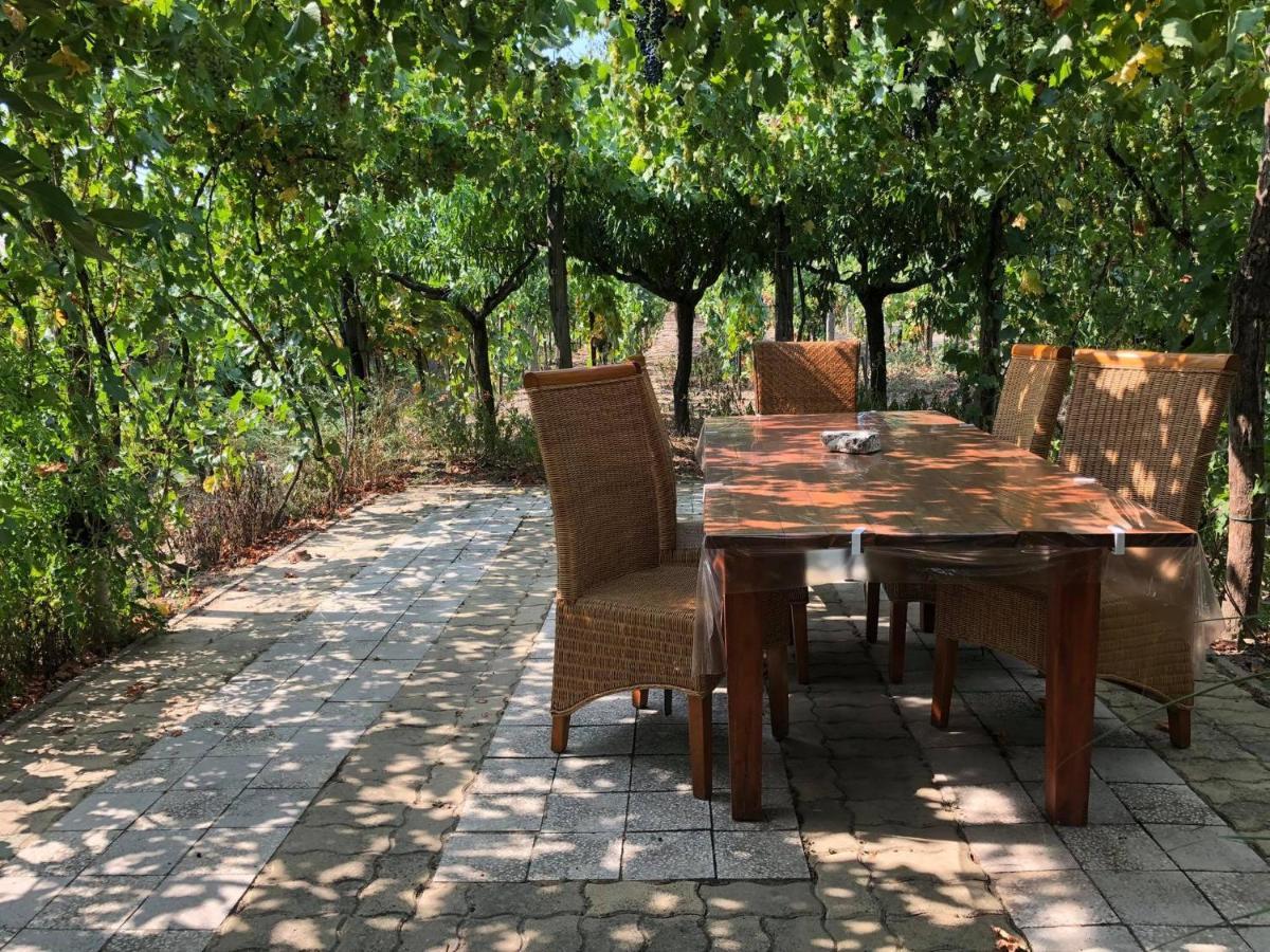 Szendergo - Apartman Hajos Pincefalu Εξωτερικό φωτογραφία
